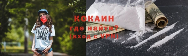прущие грибы Майский