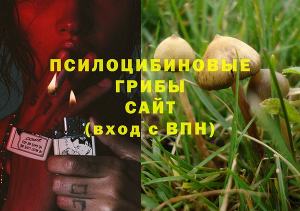 дурь Медногорск