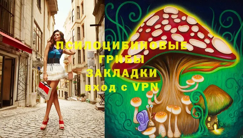 Псилоцибиновые грибы Psilocybe  KRAKEN ONION  Миньяр 